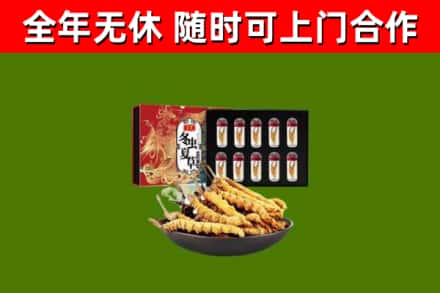 凌源市烟酒回收冬虫夏草礼盒.jpg
