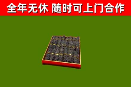 凌源市回收海参